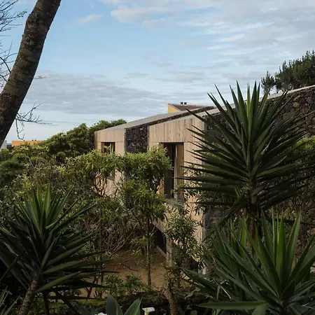 Quinta Dos Peixes Falantes Ribeira Grande Exterior photo