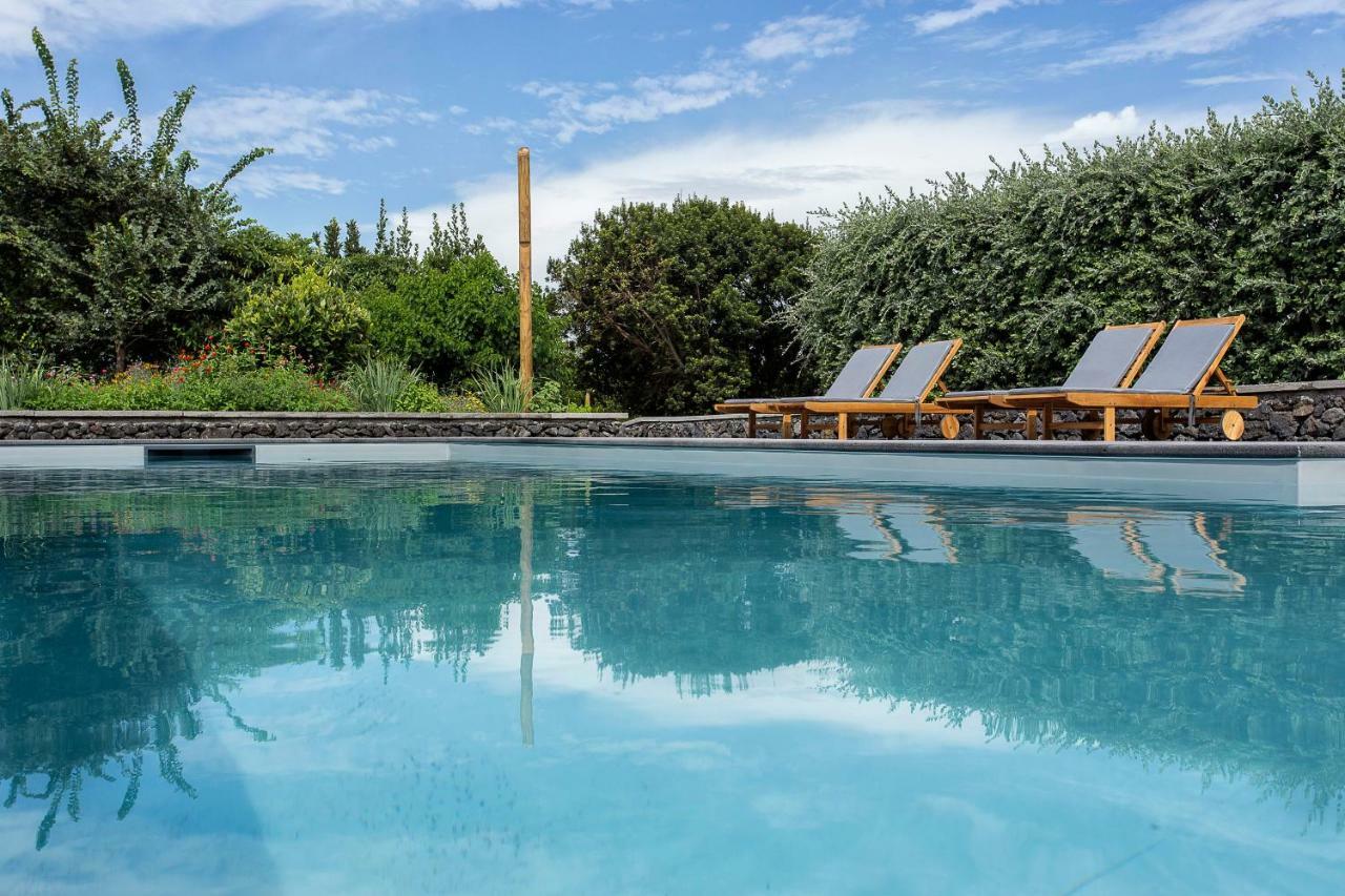 Quinta Dos Peixes Falantes Farm stay *